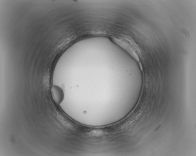 X0000115820441200912041630