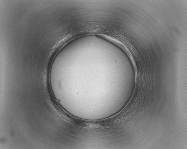 X0000115820442200912041630