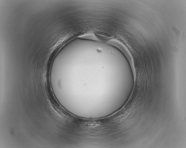 X0000115820443200912041630