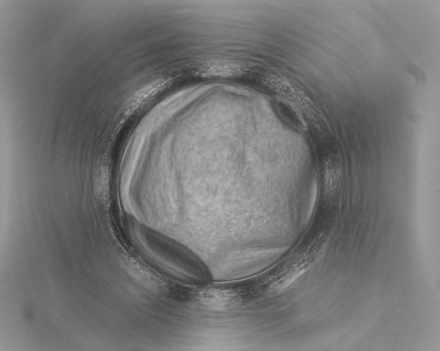 X0000115820444200912041630