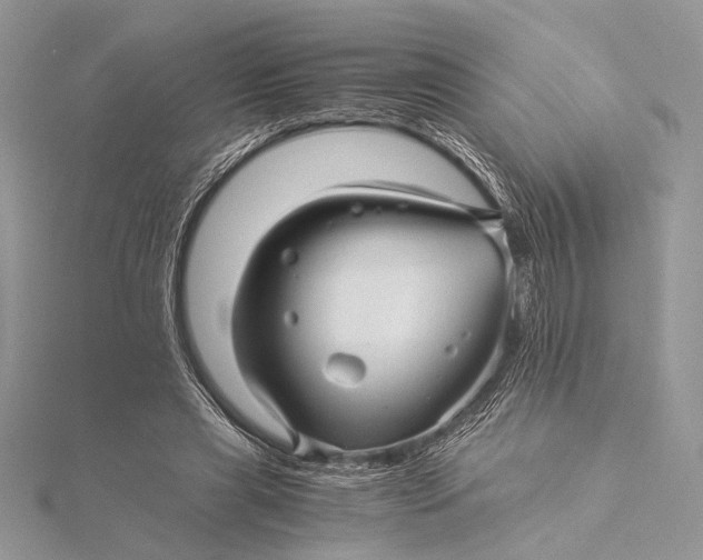 X0000115820445200912041630