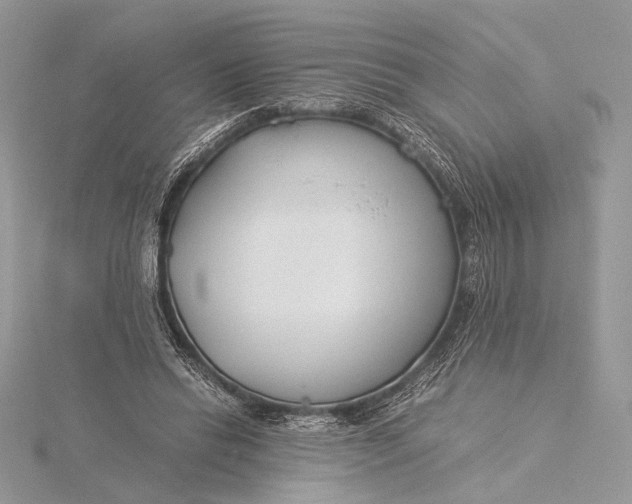 X0000115820446200912041630