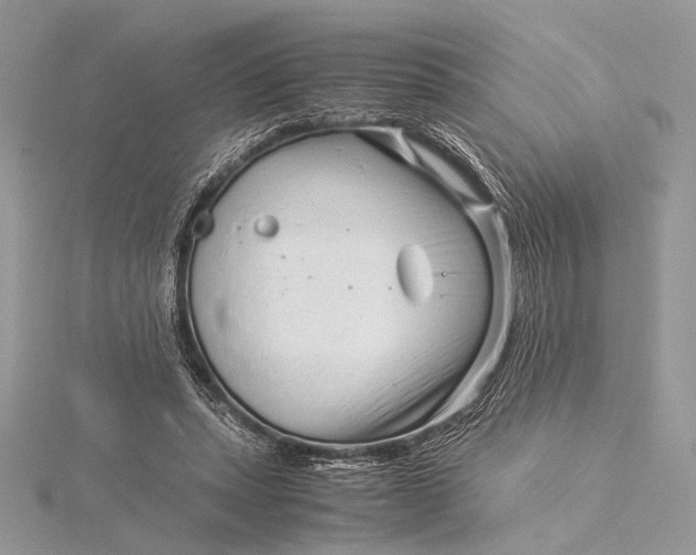 X0000115820447200912041630