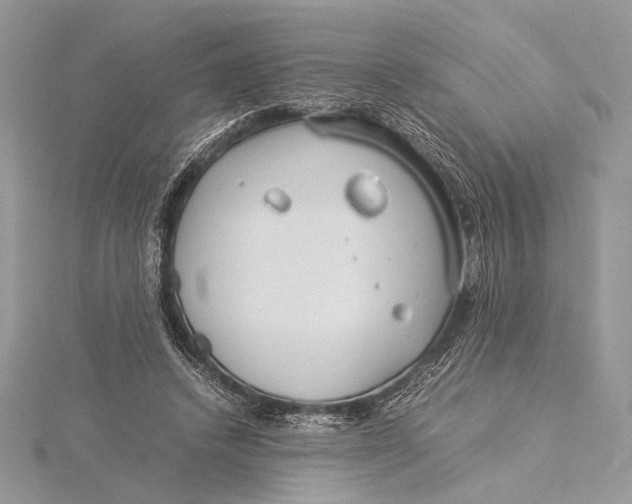 X0000115820448200912041631