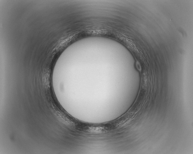 X0000115820450200912041631