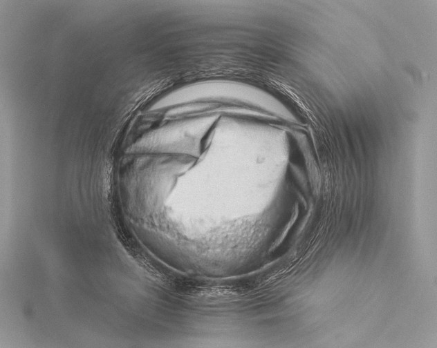 X0000115820451200912041631