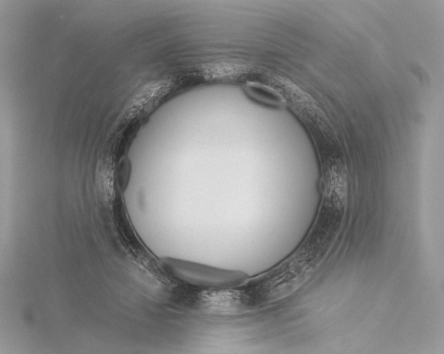 X0000115820452200912041631