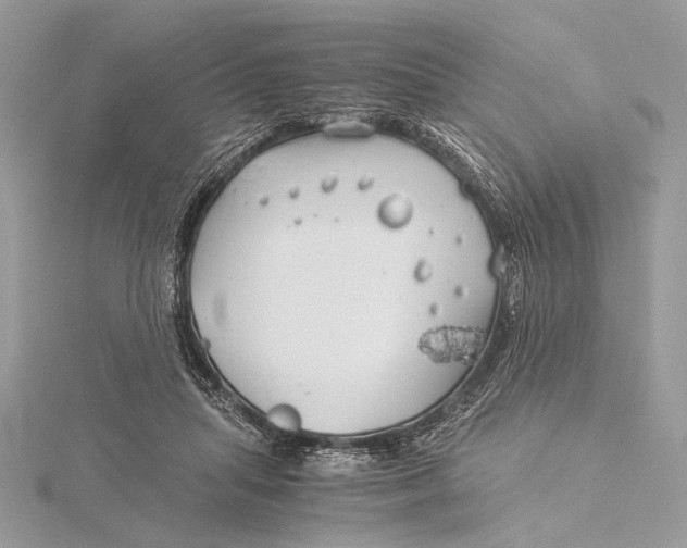 X0000115820455200912041631