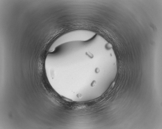 X0000115820456200912041631