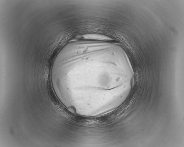 X0000115820458200912041631