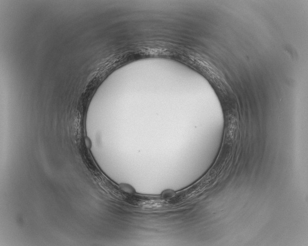 X0000115820461200912041631