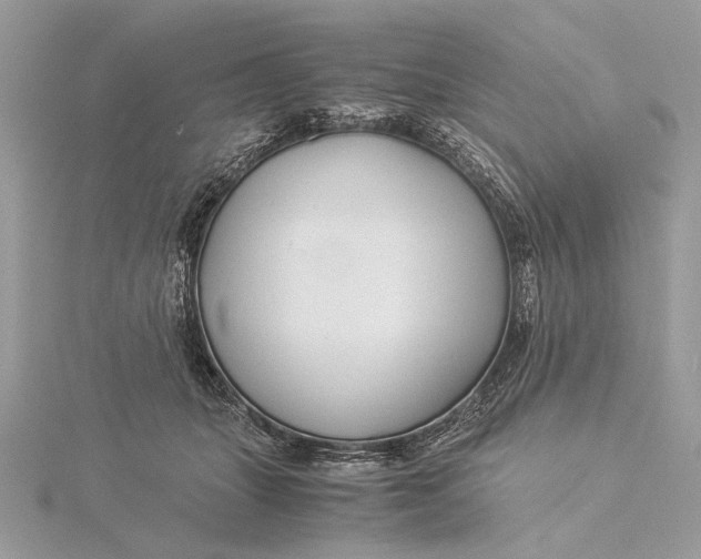 X0000115820463200912041631