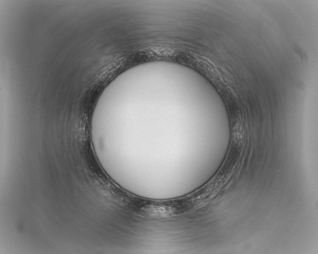 X0000115820464200912041631