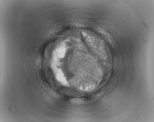 X0000115820465200912041631