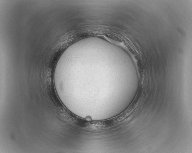 X0000115820466200912041631