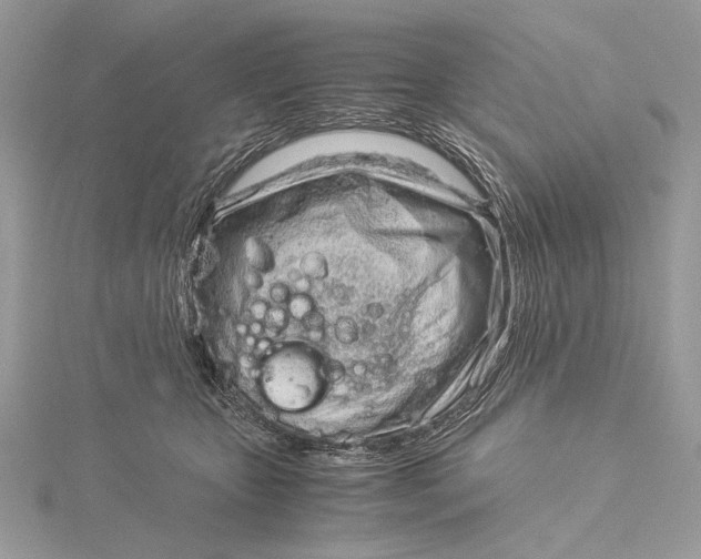 X0000115820467200912041631