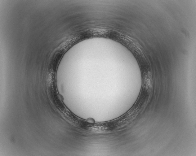 X0000115820468200912041631