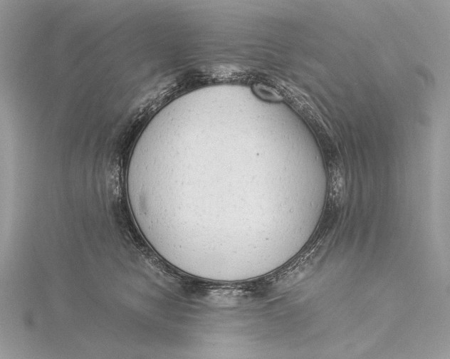 X0000115820470200912041631