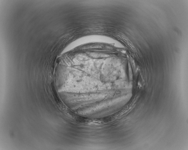 X0000115820471200912041631