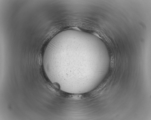 X0000115820474200912041631