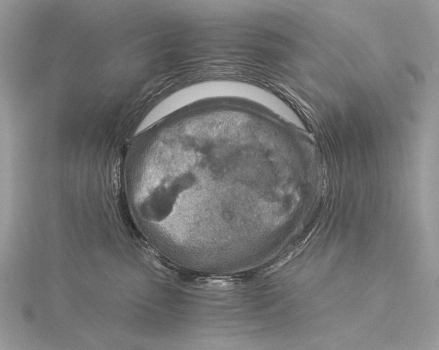 X0000115820475200912041631