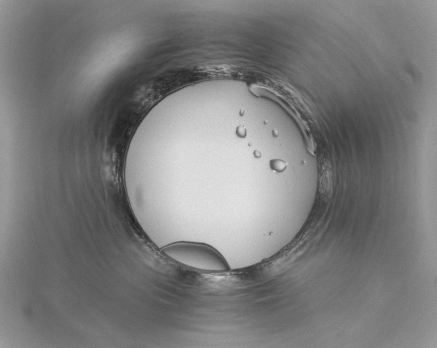 X0000115820477200912041631