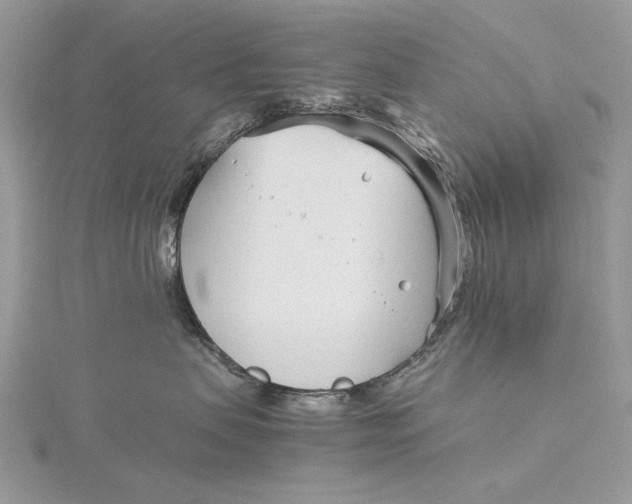 X0000115820479200912041631