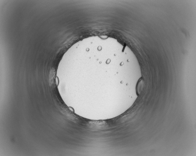 X0000115820480200912041631