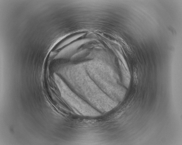 X0000115820484200912041630