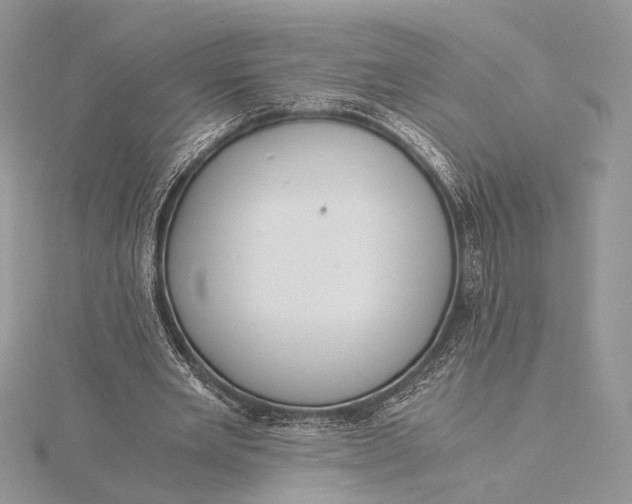 X0000115820485200912041630