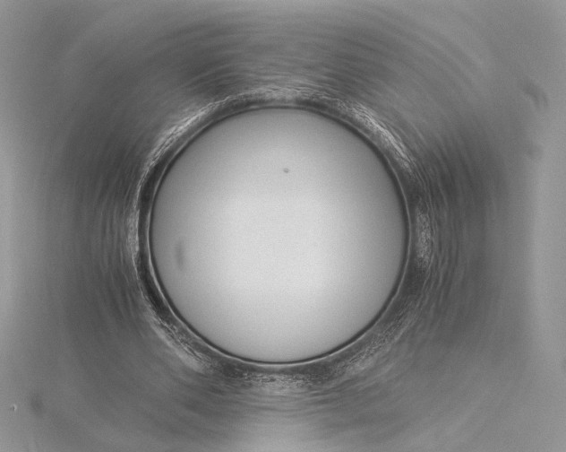 X0000115820486200912041630