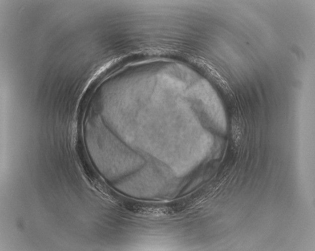 X0000115820488200912041630