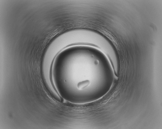 X0000115820489200912041630