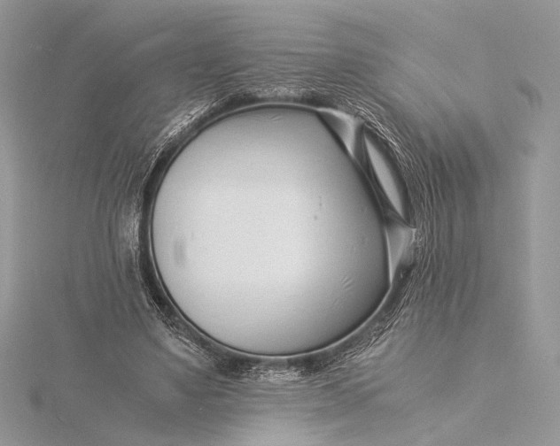 X0000115820491200912041630