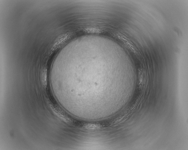 X0000115820494200912041630