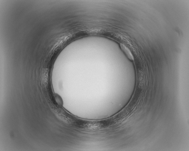 X0000115820495200912041630