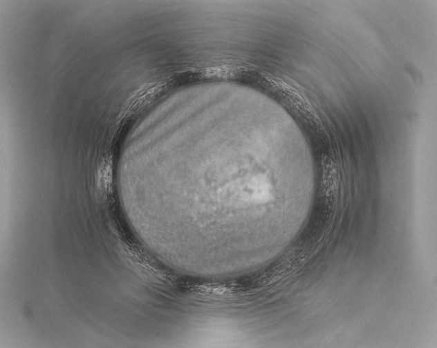 X0000115820502200912041630