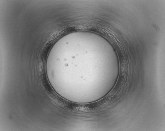 X0000115820503200912041630