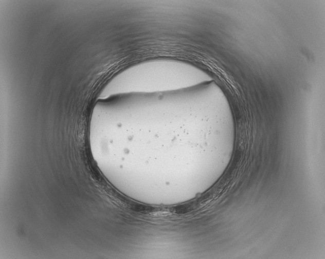 X0000115820505200912041630