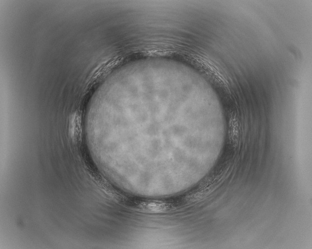 X0000115820506200912041630