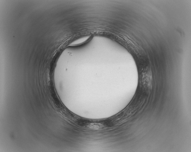 X0000115820508200912041630