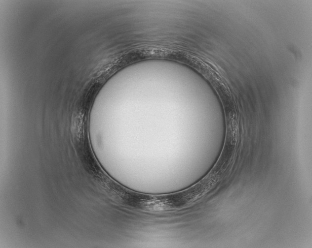 X0000115820511200912041630