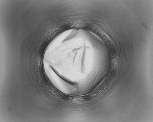 X0000115820517200912041630