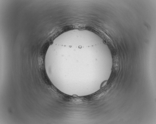 X0000115820523200912041630