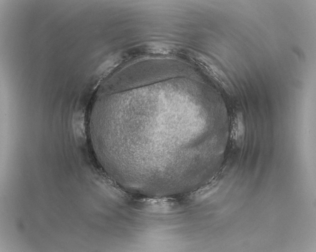 X0000115820524200912041630