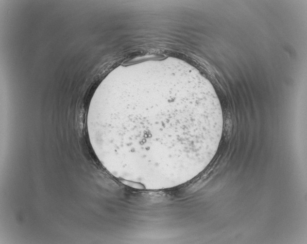 X0000115820525200912041630