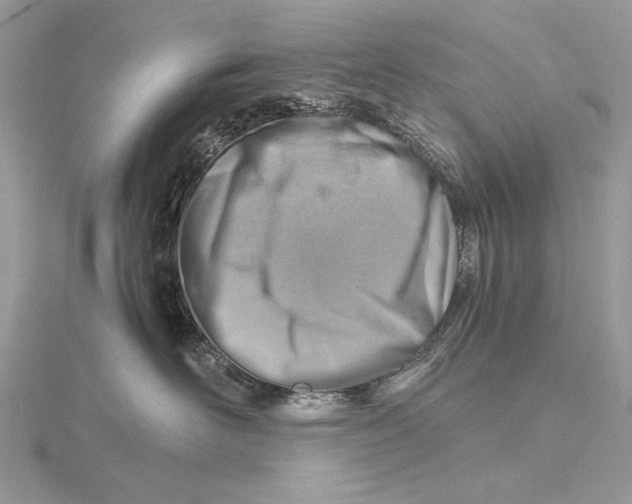 X0000115820526200912041630