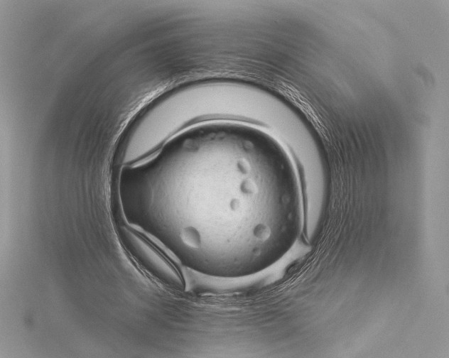 X0000115820534200912041629