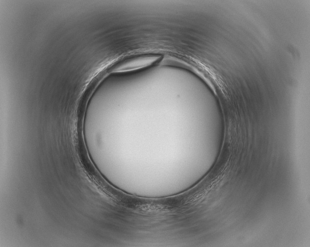 X0000115820535200912041629