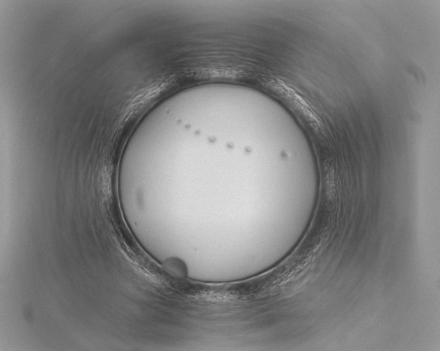 X0000115820537200912041629